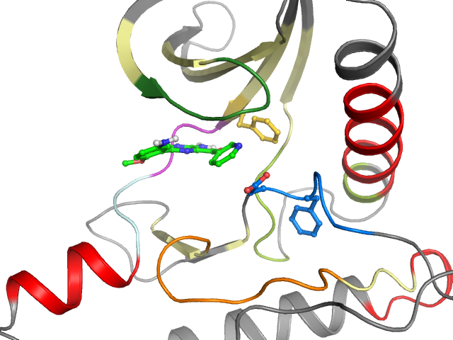 The orthosteric binding pocket