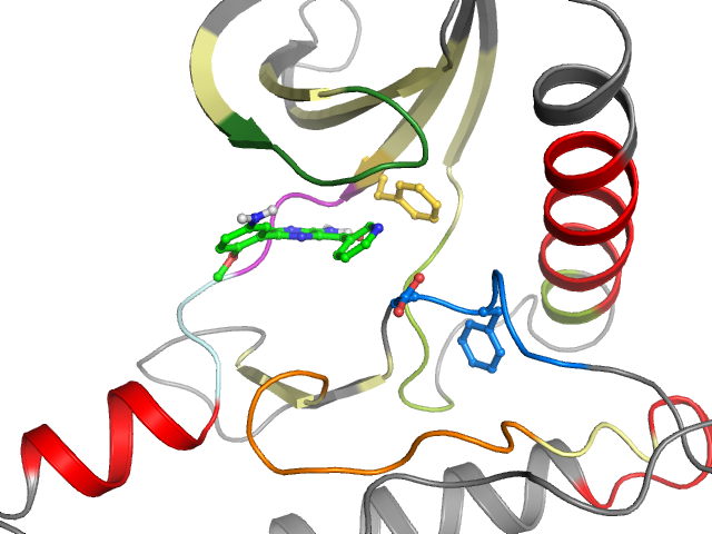 The orthosteric binding pocket