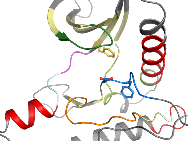 The orthosteric binding pocket