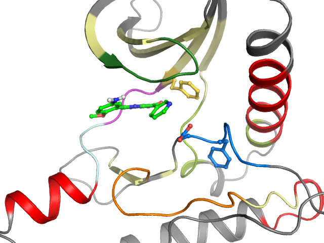The orthosteric binding pocket
