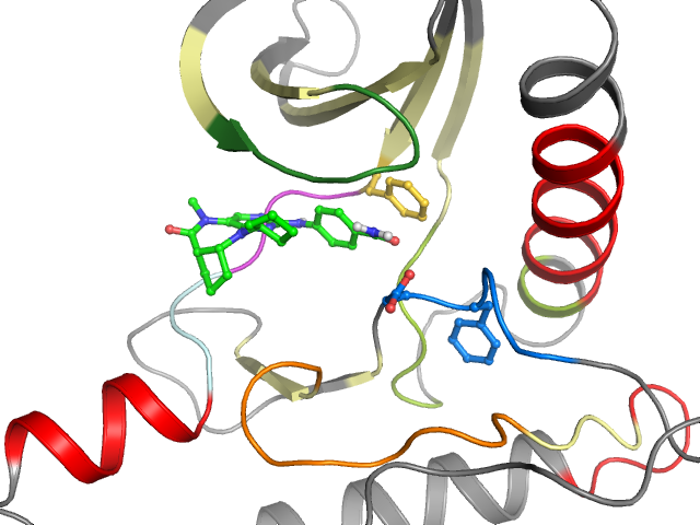 The orthosteric binding pocket