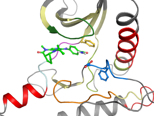 The orthosteric binding pocket