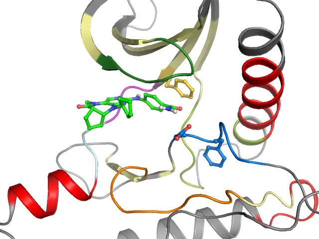 The orthosteric binding pocket