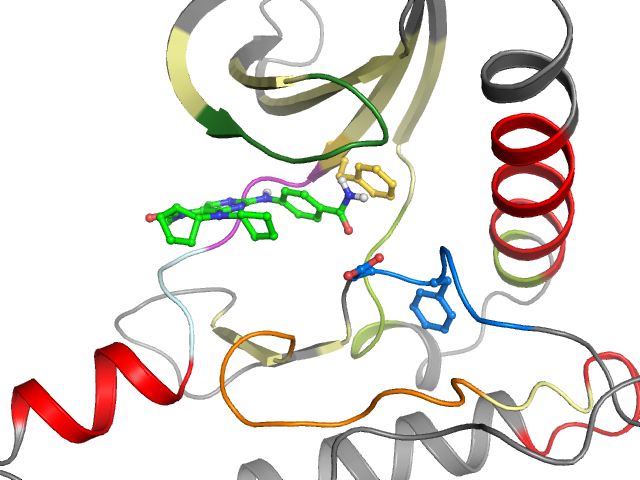 The orthosteric binding pocket