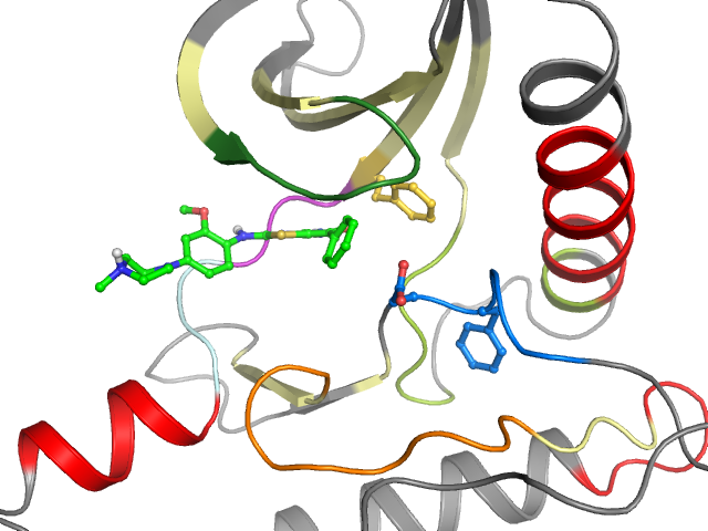 The orthosteric binding pocket
