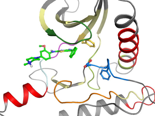 The orthosteric binding pocket