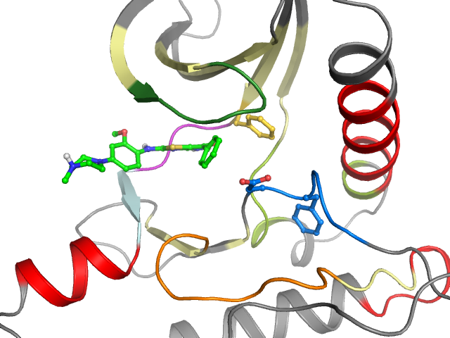 The orthosteric binding pocket