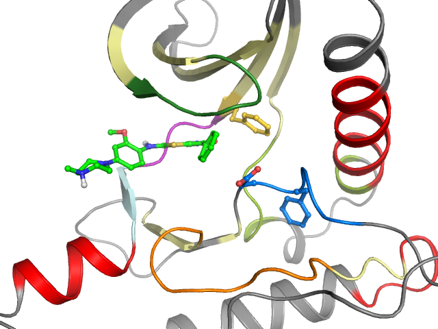 The orthosteric binding pocket
