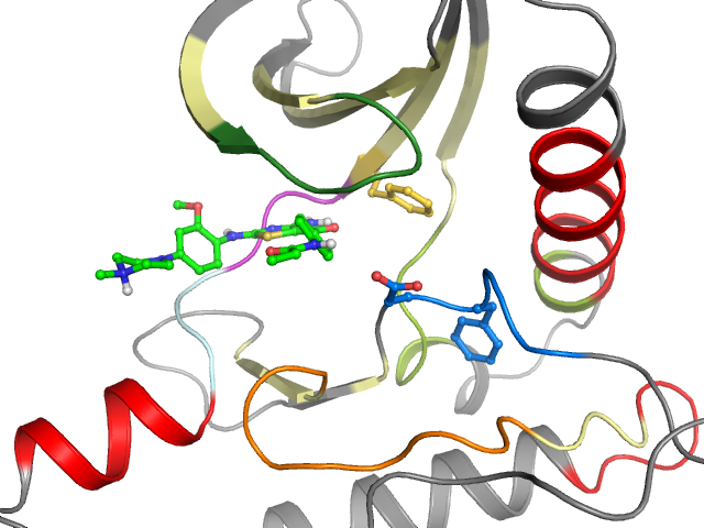 The orthosteric binding pocket
