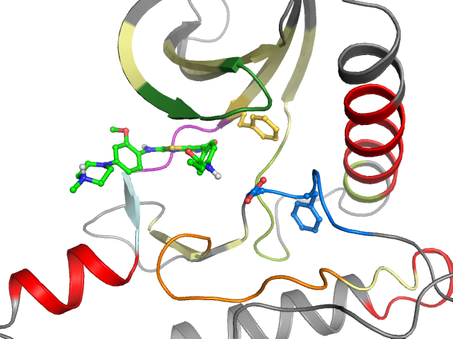 The orthosteric binding pocket