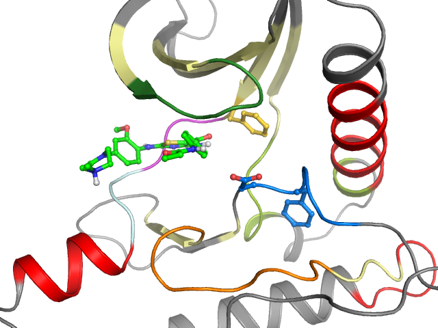The orthosteric binding pocket