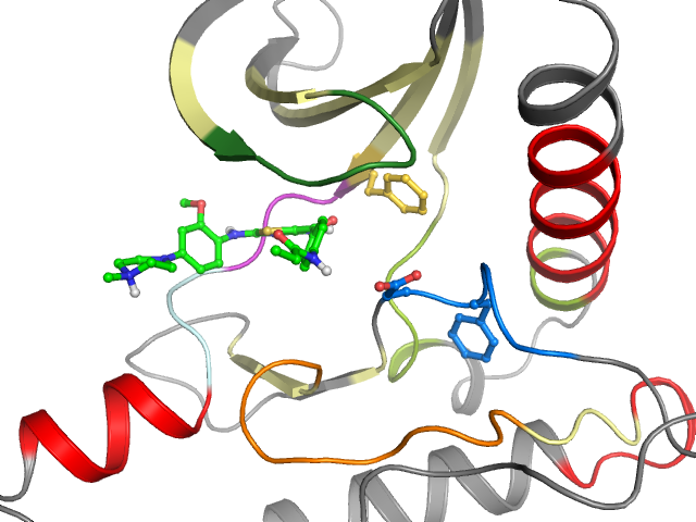 The orthosteric binding pocket