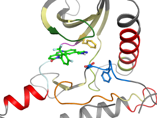 The orthosteric binding pocket