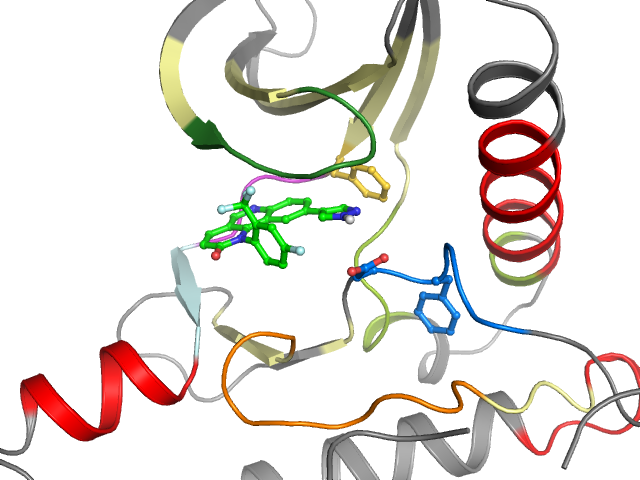 The orthosteric binding pocket