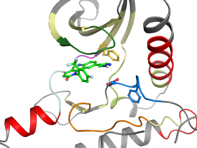 The orthosteric binding pocket