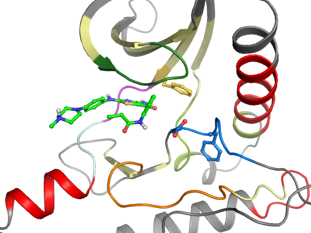 The orthosteric binding pocket