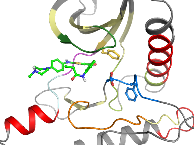 The orthosteric binding pocket