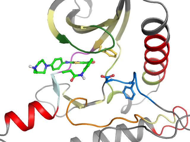 The orthosteric binding pocket
