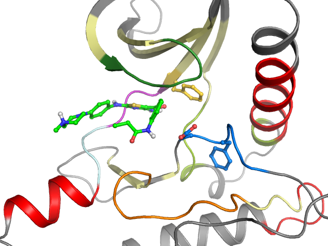 The orthosteric binding pocket