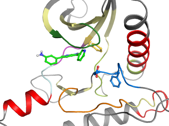 The orthosteric binding pocket