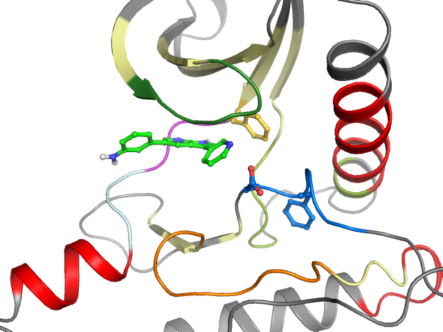 The orthosteric binding pocket