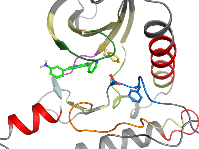The orthosteric binding pocket