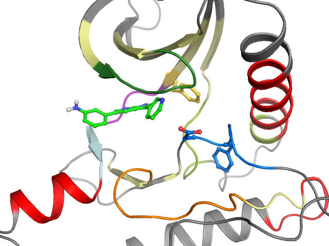 The orthosteric binding pocket