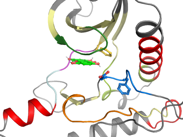 The orthosteric binding pocket