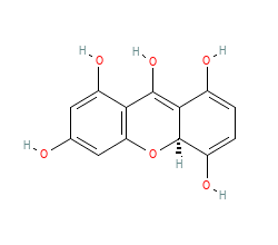 2D structure of the orthosteric ligand