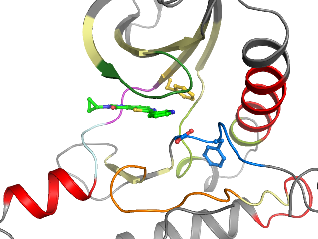 The orthosteric binding pocket