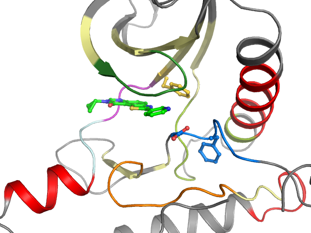 The orthosteric binding pocket