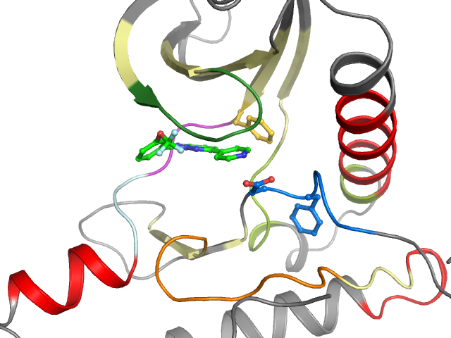 The orthosteric binding pocket
