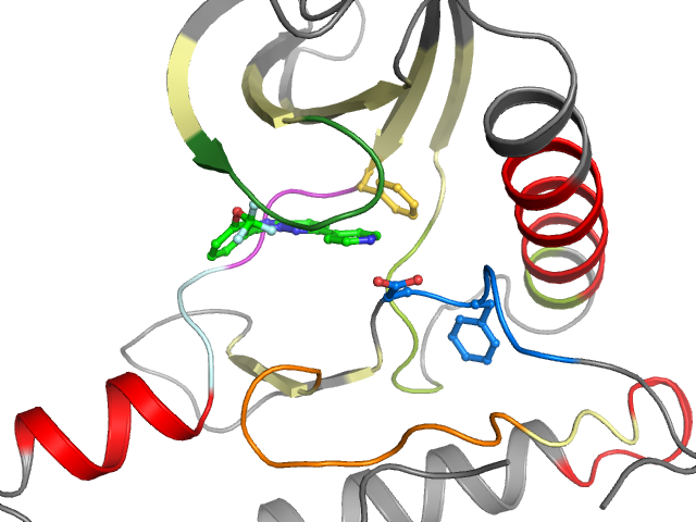 The orthosteric binding pocket