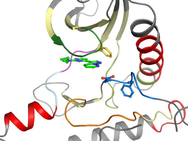 The orthosteric binding pocket