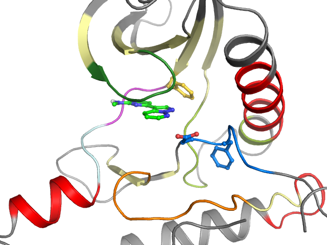 The orthosteric binding pocket