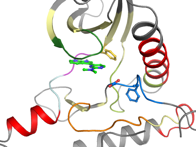The orthosteric binding pocket