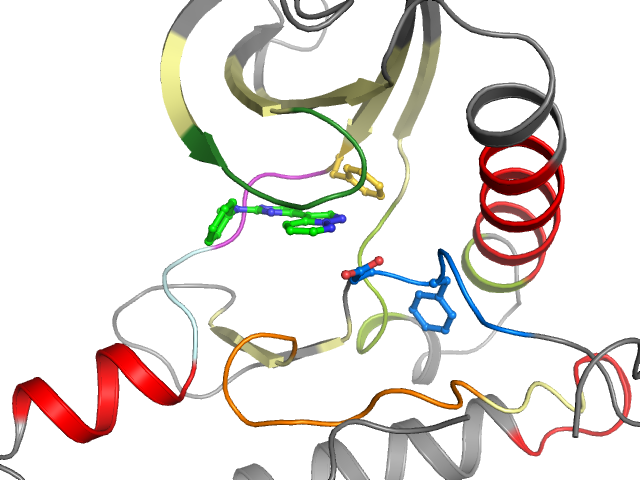 The orthosteric binding pocket