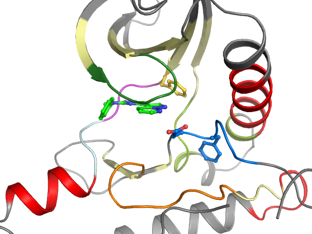 The orthosteric binding pocket