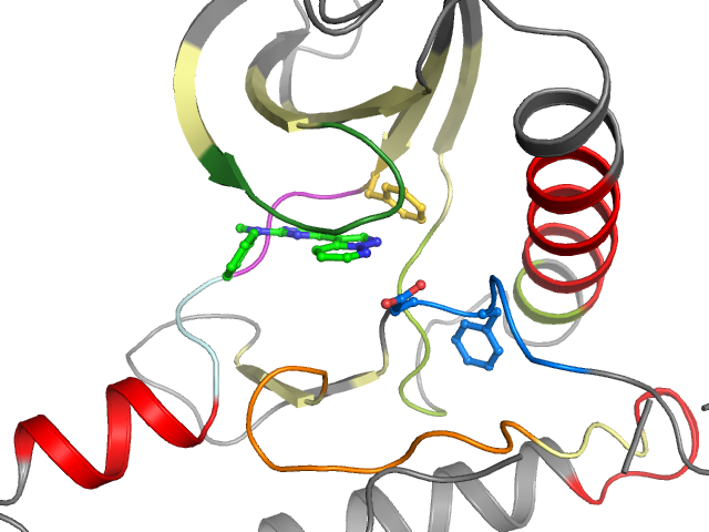 The orthosteric binding pocket