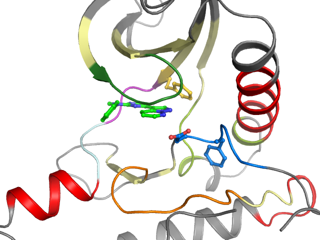 The orthosteric binding pocket