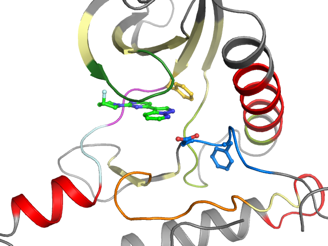 The orthosteric binding pocket