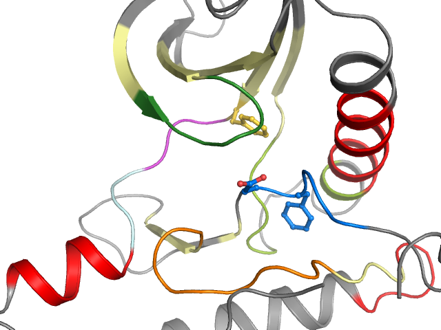 The orthosteric binding pocket