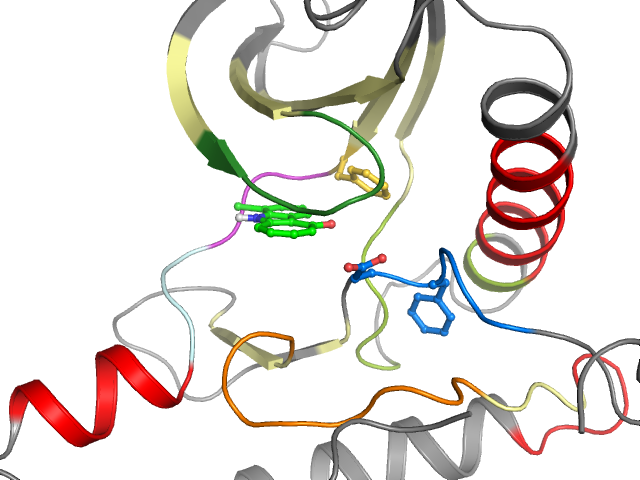 The orthosteric binding pocket