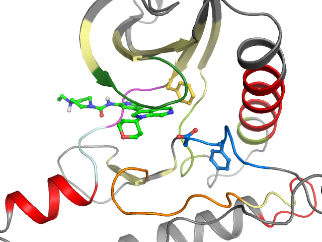 The orthosteric binding pocket