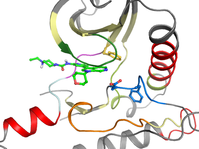 The orthosteric binding pocket