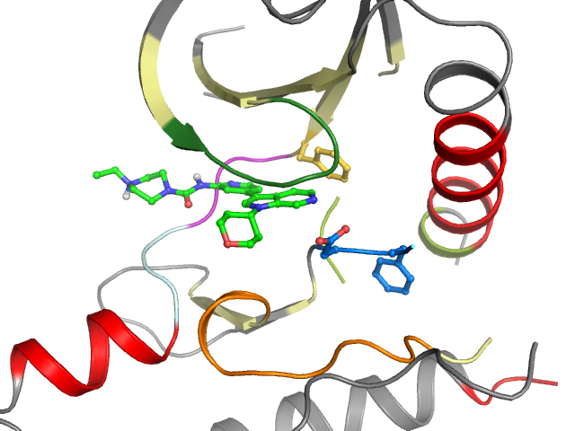 The orthosteric binding pocket