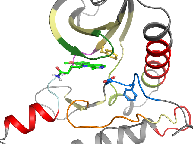 The orthosteric binding pocket