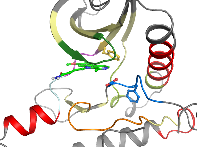The orthosteric binding pocket