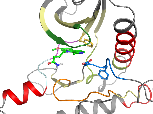 The orthosteric binding pocket