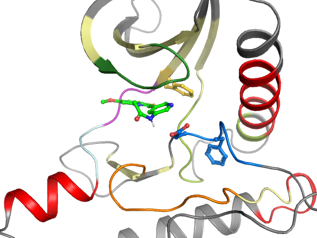 The orthosteric binding pocket